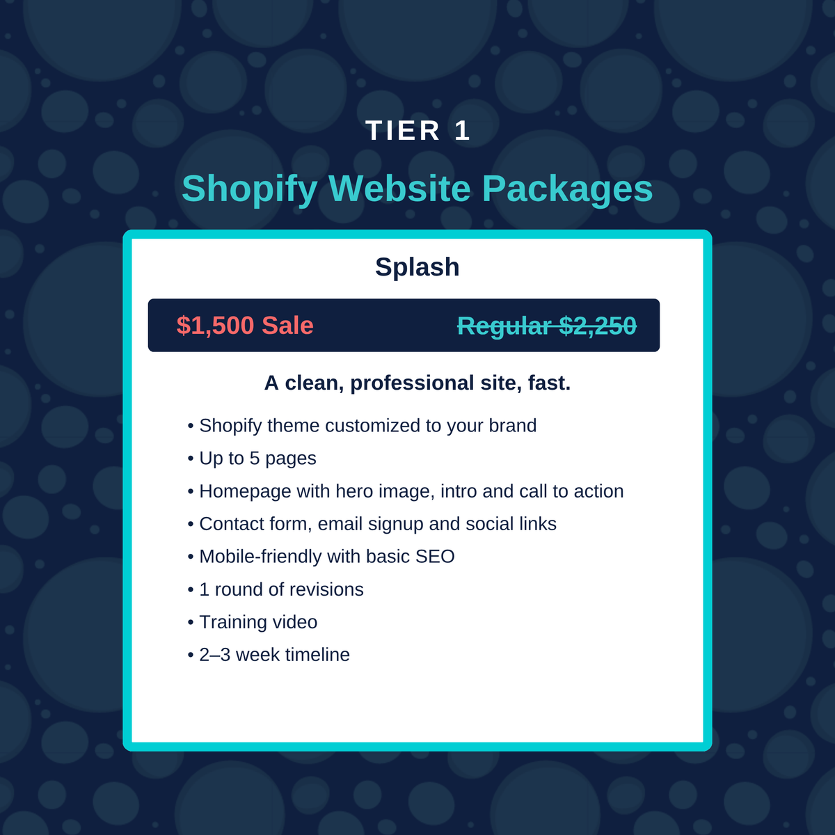 Shopify Website Packages - Holiday Promo