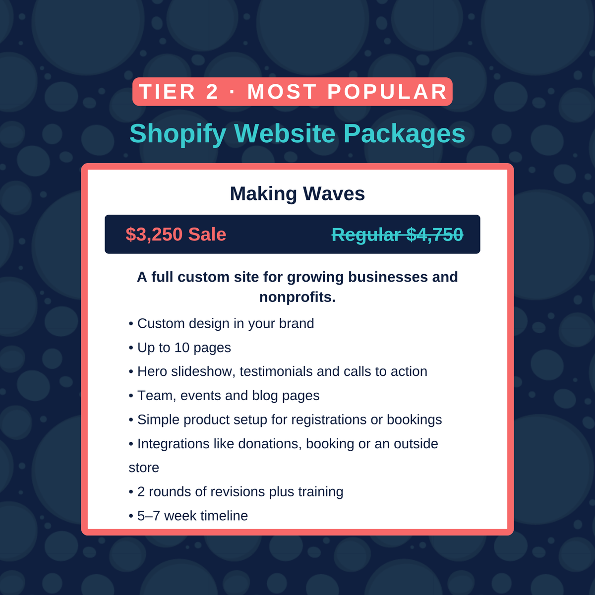 Shopify Website Packages - Holiday Promo