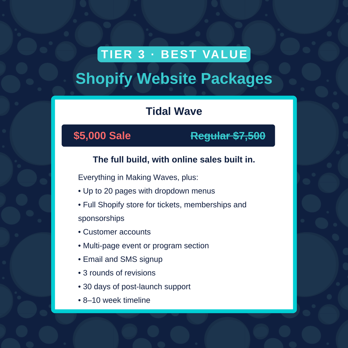 Shopify Website Packages - Holiday Promo